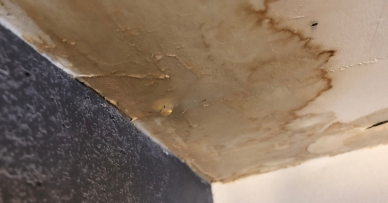 מה עושים הצפה בגינה